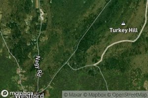 Boston Hollow Road Brook