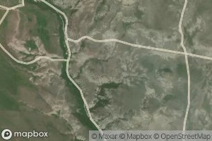 01N11E01D___01 Spring