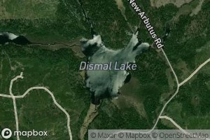 Dismal Lake