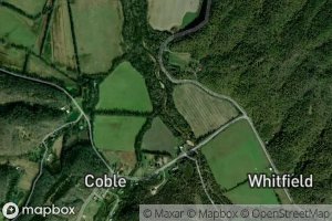 Cow Hollow Branch Stream