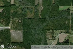 Martha Holland Branch