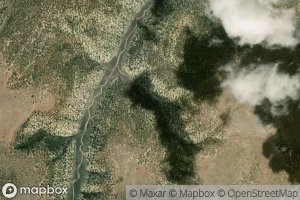 Charlie Brown Spring