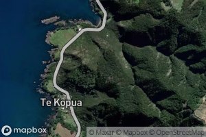 Kopua Stream