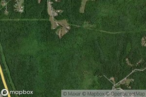 East Apple Tree Branch