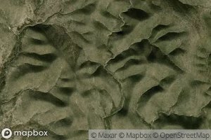 Canada Magueyes Verdes