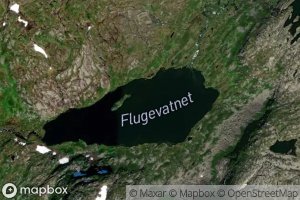 Flugevatnet