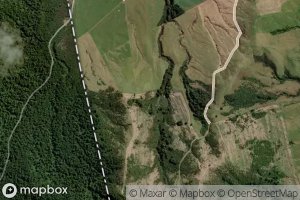 Haehaeharakeke Stream