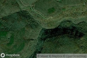 Lower Fork Whitaker Creek