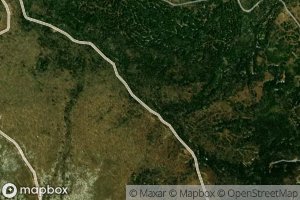 South Branch Lyman Brook