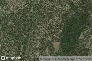 Deer Scaffold Spring