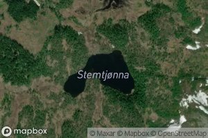 Stemtjorna