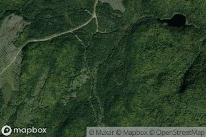 Lac des Sapins Baumiers