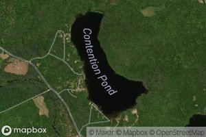 Contention Pond