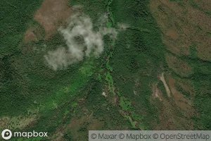 Levaya Malaya Detukha