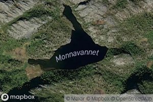 Monnavannet