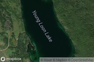 Young Loon Lake