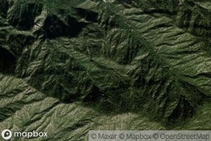 Canada La Palmillosa