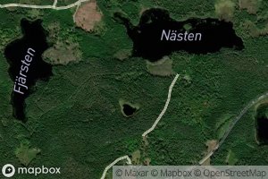 Nasten