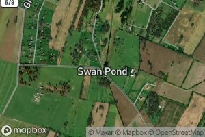 Swan Pond Spring