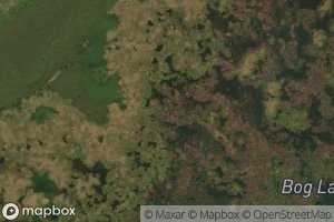 Bog Lake