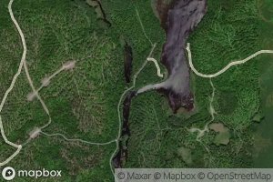 Pocomoonshine Branch