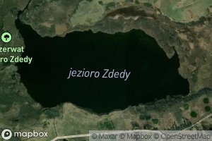Zdedy