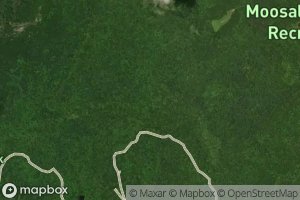 North Branch Sucker Brook