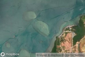 Karang Belantek Laut