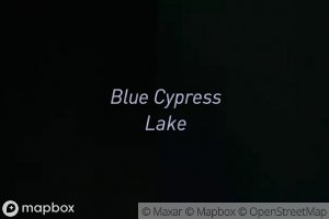 Blue Cypress Lake