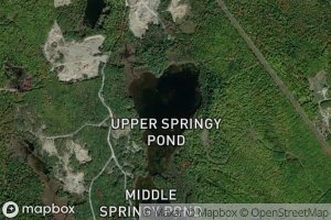 Upper Springy Pond