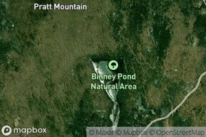 Binney Pond