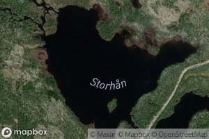 Storhan