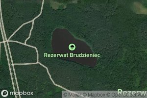 Jezioro Brudzieniec