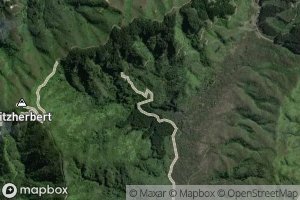 Wainuiomataiti Stream