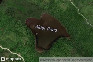 Alder Pond