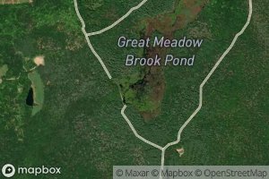 Great Meadow Brook Pond