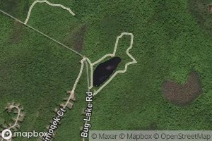 Bug Lake