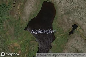 Nigabierjavri