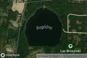 Jezioro Rogozno