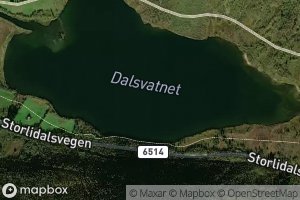 Dalsvatnet