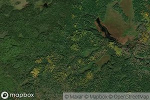 South Branch Wasson Brook