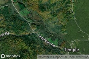 Henry Mitchell Brook