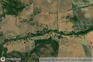 Cano El Guasimo de Ralo