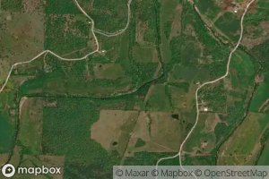 Taylor Foster Branch