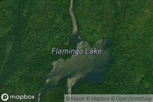 Flamingo Lake