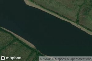 Perekat Pizhnevivinskiy