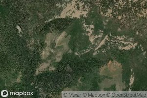 Red Bedground Spring