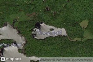 Thumb Pond