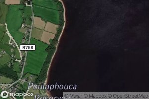 Pollaphuca Reservoir