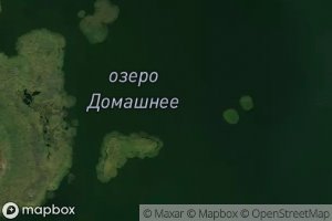 Ozero Domashneye